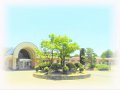 【新年のご挨拶】:画像